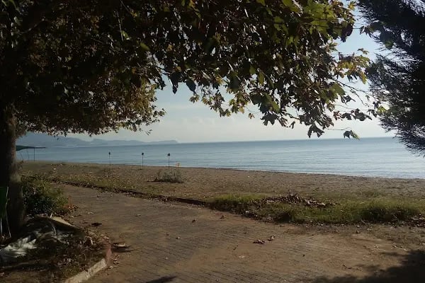 Anamur Belediyesi Dragon Parkı - Resim 13
