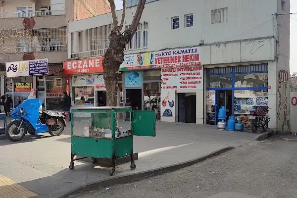KYC KANATLI VETERİNER KLİNİĞİ - Resim 4