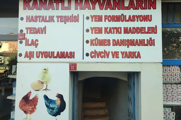 KYC KANATLI VETERİNER KLİNİĞİ - Resim 5
