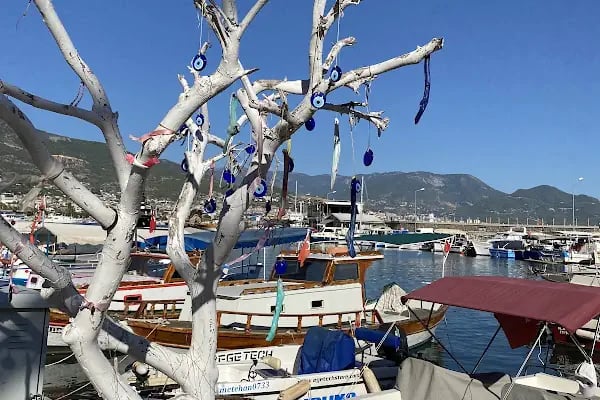 ALANYA THE TURKISH RIVIERA CRUISE PORT - Resim 10
