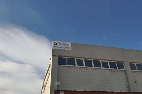 EYÜP ŞENEL ORMAN ÜRÜNLERİ SAN. ve TİC.LTD.ŞTİ. - Resim 8