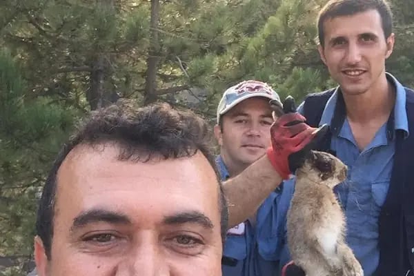 Ali Kaya Veteriner Kliniği - Resim 7