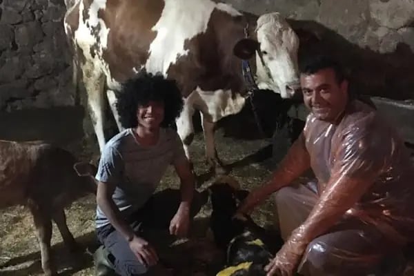 Ali Kaya Veteriner Kliniği - Resim 4