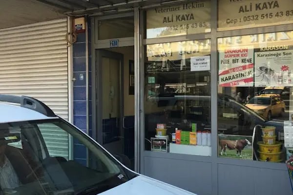 Ali Kaya Veteriner Kliniği - Resim 8