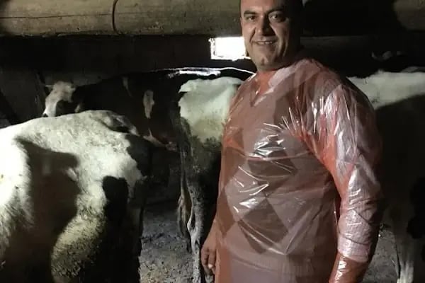 Ali Kaya Veteriner Kliniği - Resim 3