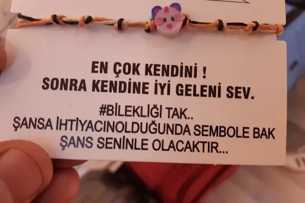 GRATİS KARAPÜRÇEK CD - Resim 6