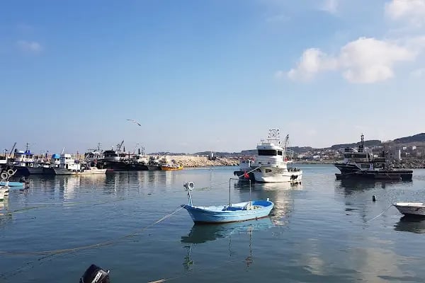 Karaburun Liman - Resim 5