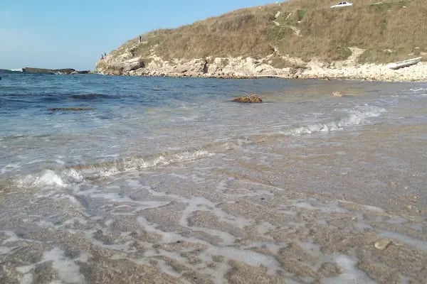 Karaburun Liman - Resim 7