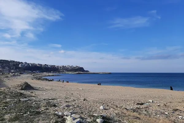 Karaburun Liman - Resim 6