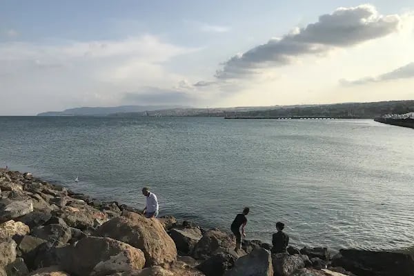 Barış Ve Özgürlük Parkı - Resim 17
