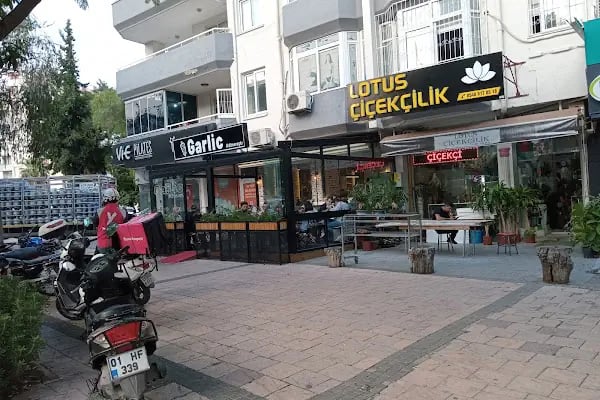 Garlic Adana - Resim 14