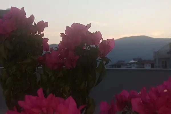 Beyaz Saray Konaklari - Resim 10