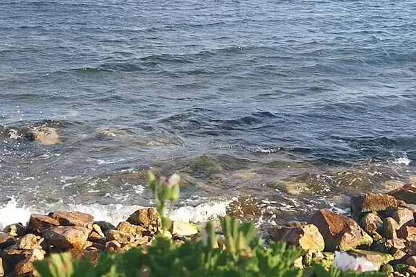 Adalar Belediyesi Hrant Dink Çocuk Parkı - Resim 11
