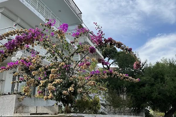 Adalar Belediyesi Hrant Dink Çocuk Parkı - Resim 9