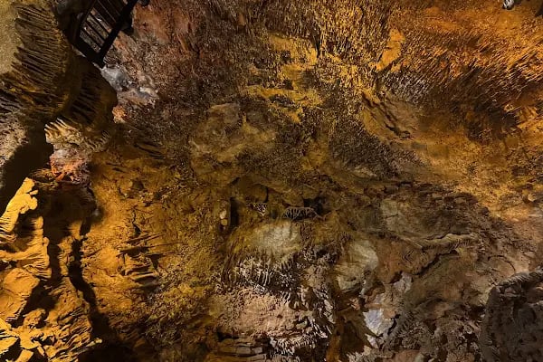 Yumurcak Çocuk Parkı - Resim 15