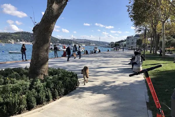 Bebek Vapur İskelesi - Resim 6