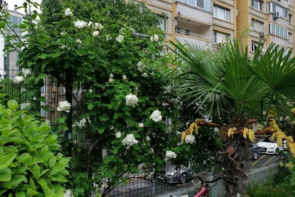 İhlas Yuva Sitesi - Resim 12