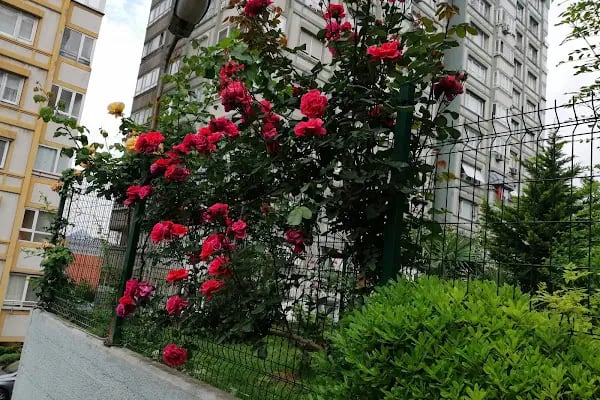 İhlas Yuva Sitesi - Resim 4