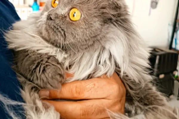 Aydın Güven Veteriner Kliniği - Resim 10