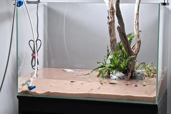 Adtalos Aquascaping Shop - Resim 10