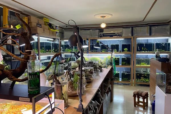 Adtalos Aquascaping Shop - Resim 8