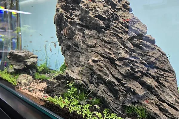 Adtalos Aquascaping Shop - Resim 19