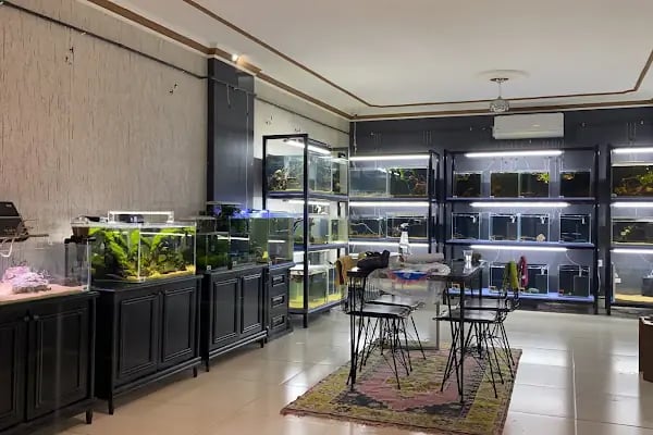 Adtalos Aquascaping Shop - Resim 15