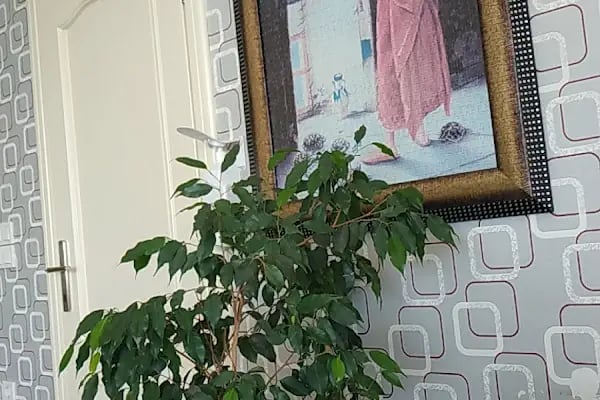 Pulpa Ağız ve Diş Sağlığı Polikliniği - Resim 5