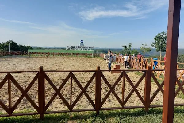 Sultangazi At Binicilik Tesisleri - Resim 12
