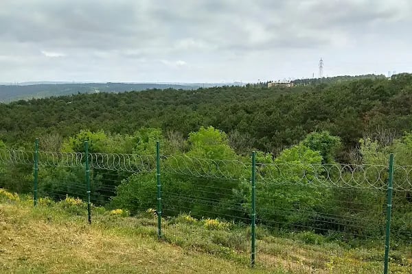 Sultangazi At Binicilik Tesisleri - Resim 7