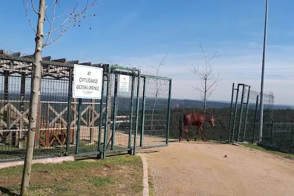 Sultangazi At Binicilik Tesisleri - Resim 15