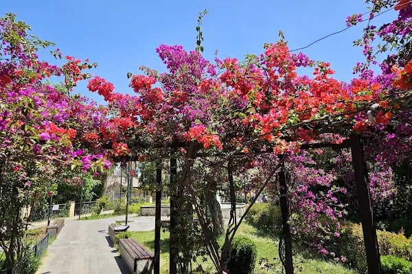 Kaleiçi Marina - Resim 10