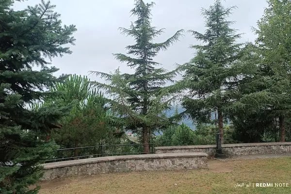 Akçaabat Horon Köfte &amp; Balık Restaurant - Resim 20