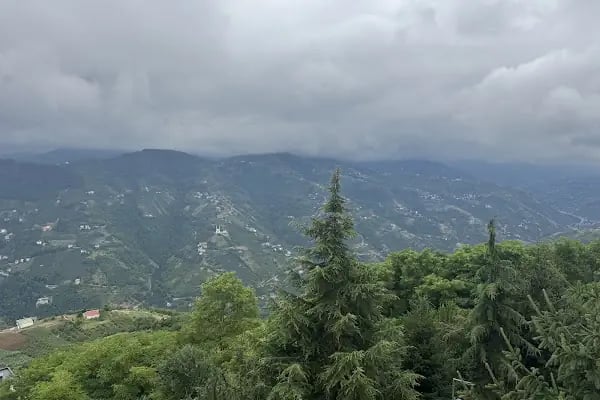 Akçaabat Horon Köfte &amp; Balık Restaurant - Resim 9
