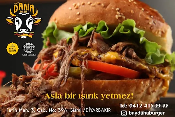 Bay Dana Burger - Resim 12
