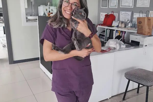 Vesta Veteriner Kliniği - Resim 7