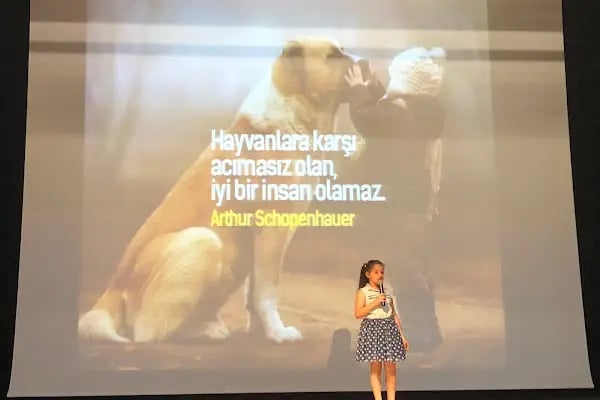 DİLWORLD Yabancı Dil Kursu Bayrampaşa - Resim 11