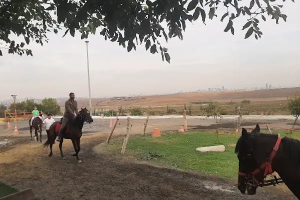 Avcılar Binicilik - Resim 1