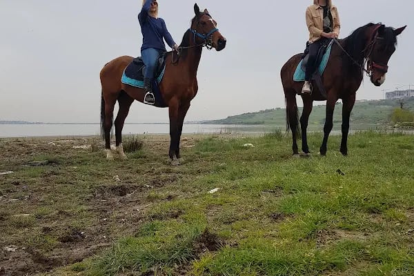 Avcılar Binicilik - Resim 4