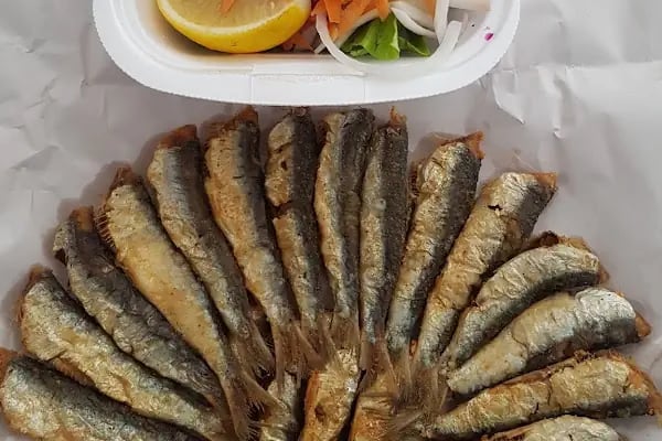 Deniz Yıldızı Balık evi - Resim 16