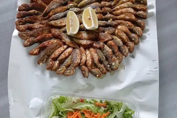 Deniz Yıldızı Balık evi - Resim 19