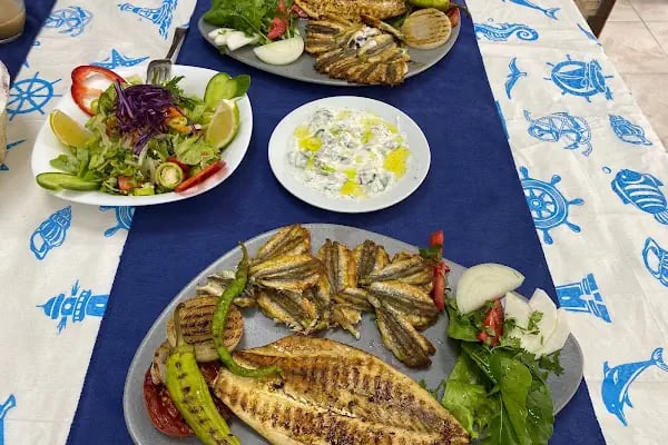 Deniz Yıldızı Balık evi - Resim 11