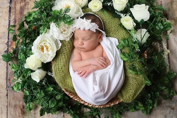 ANKA FOTOĞRAF STÜDYOSU - Resim 1