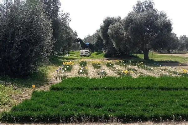 Ege Üniversitesi Bayındır Meslek Yüksekokulu - Resim 13