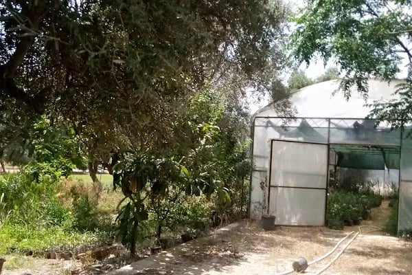 Ege Üniversitesi Bayındır Meslek Yüksekokulu - Resim 14