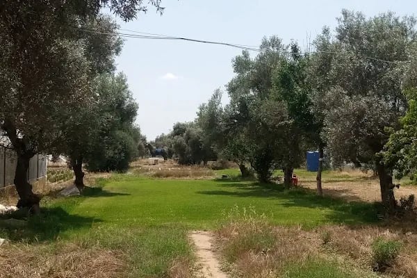 Ege Üniversitesi Bayındır Meslek Yüksekokulu - Resim 5