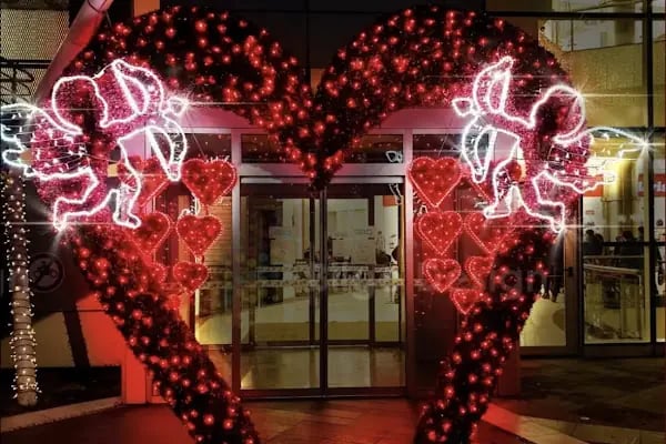 Çınar Garden Kır Düğün Salonu Bozdoğan - Resim 10