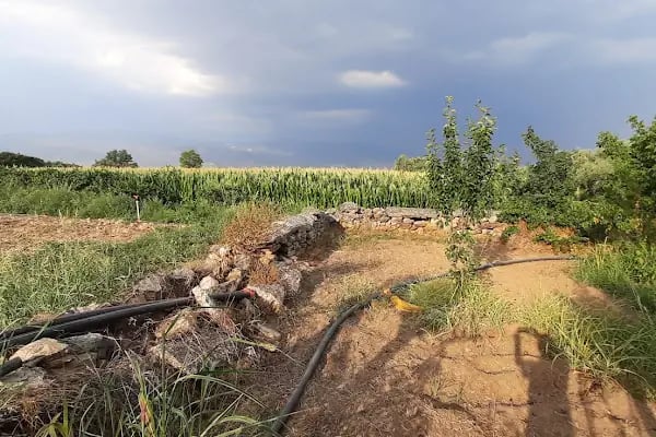 Çınar Garden Kır Düğün Salonu Bozdoğan - Resim 15