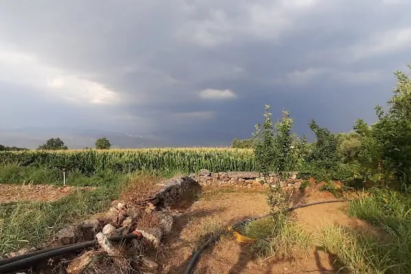 Çınar Garden Kır Düğün Salonu Bozdoğan - Resim 2