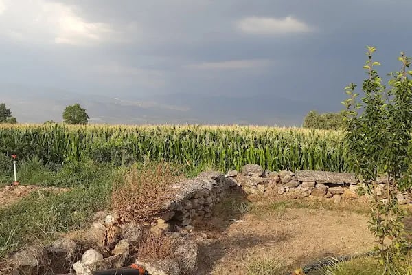 Çınar Garden Kır Düğün Salonu Bozdoğan - Resim 6